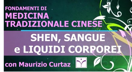 5. copertina Fondamenti MTC - Shen, Sangue e Liquidi Corporei